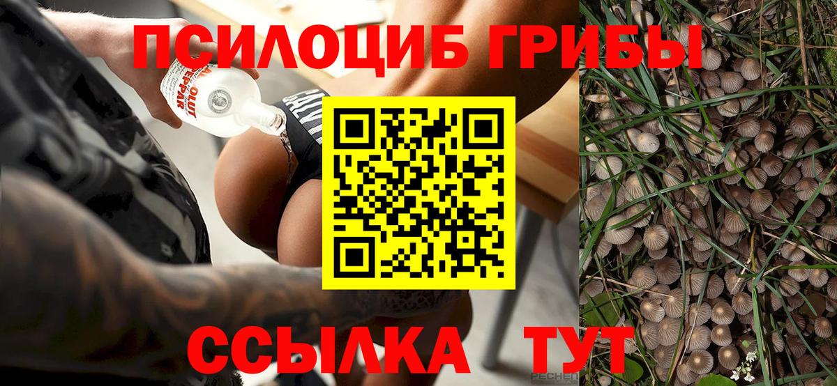 Галлюциногенные грибы Magic Shrooms  Вход с VPN  Хасавюрт 